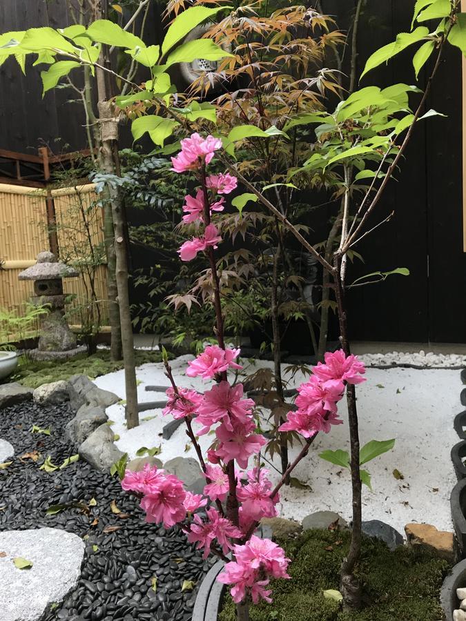 Maison d'hôtes Machiya Kyo Miyabi Kyoto